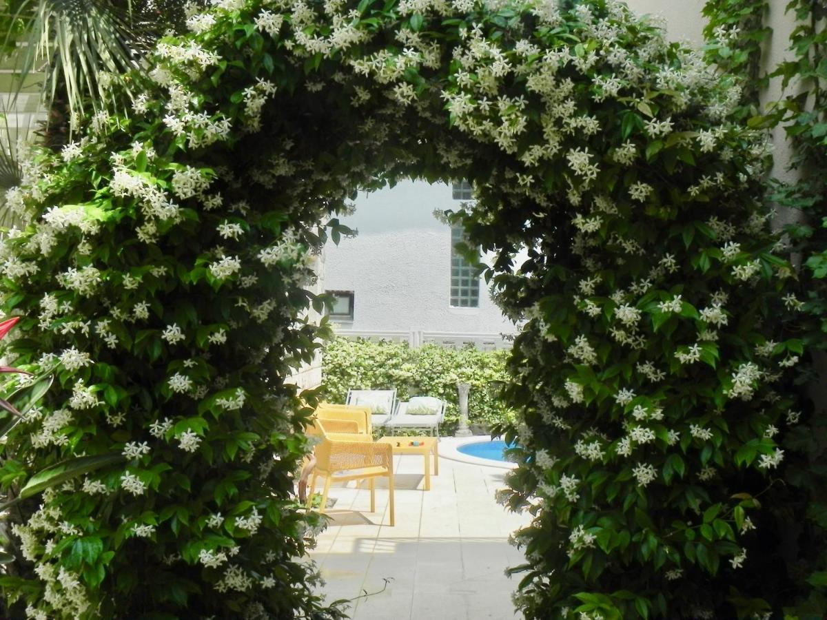 Captain's Budva